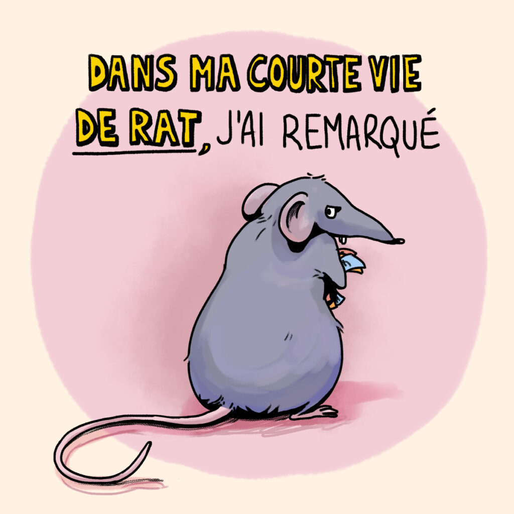 appart 1