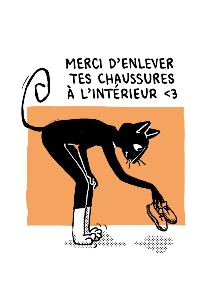 test chat chaussures colo